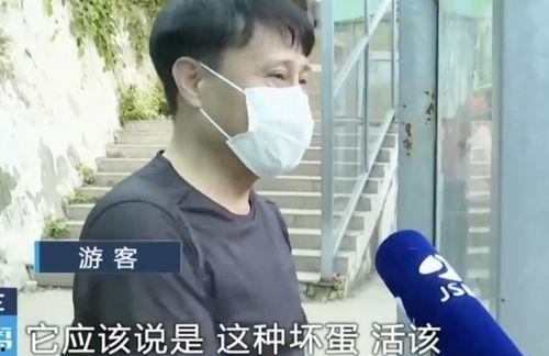 警花张津瑜国产吃瓜网,国产吃瓜网上的风云人物