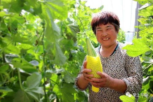 网红农村女孩吃瓜,网红农村女孩的甜蜜生活